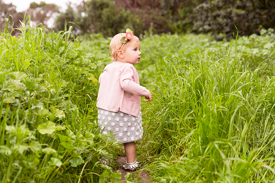 spring mini-sessions 2018